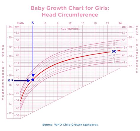 Baby Growth Chart: The First 24 Months | Pampers.com