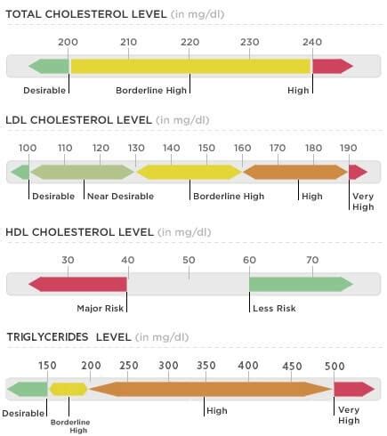 Cholesterol ratio calculator - 2019 recommendations! LDL/HDL