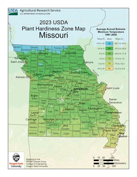 Missouri Vegetable Planting Calendar: A Quick and Easy Guide