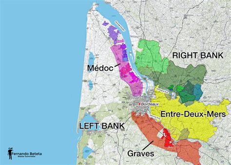 Bordeaux Wine Region Breakdown - Briscoe Bites