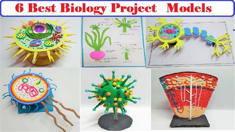 Easy Biology Science Experiments