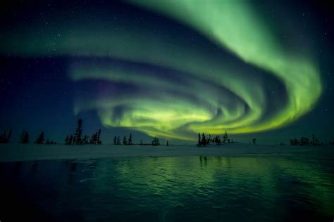 Aurora Borealis - Arctic Wildlife Photography, Polar Bear Images