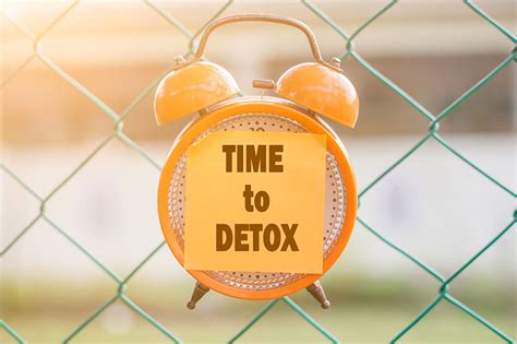 10 Signs Your Body Needs A Detox Really Bad - Factspedia