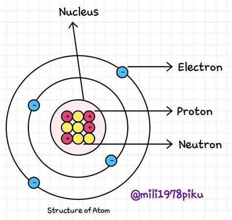 With the help of a neat labelled diagram show the location of neutron ...