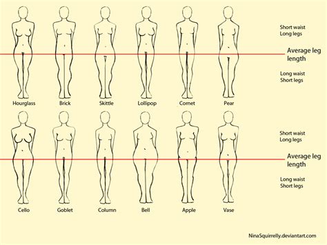 12 Realistic Woman Body Shape Chart