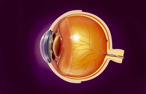 Recurrent Corneal Erosion Overview