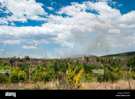 Heavy smoke from a bush fire Stock Photo - Alamy