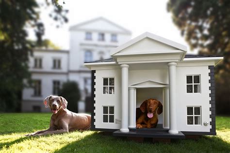 15 Cool Dog Houses For Your Furry Friend - Housely