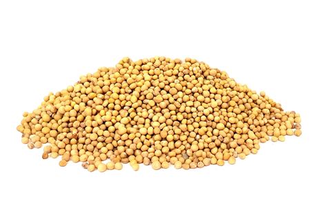 Yellow Mustard Seeds – The Spice Way - Nature with Benefits