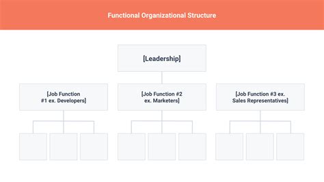 9 Types of Organizational Structure Every Company Should Consider