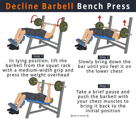 decline close grip bench press muscles worked - Enthroned Site Photo ...