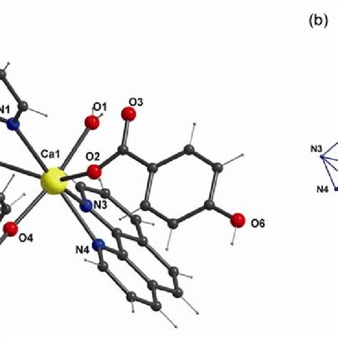 (a) Molecular structure of [Ba(3-hba) 2 (phen) 2 (H 2 O) 2 ] n (3 ...