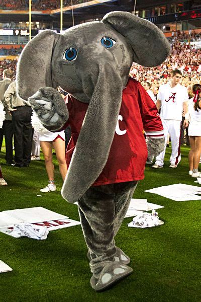 Wojciechowski: Hard to find fault with Alabama | Crimson tide, Alabama ...