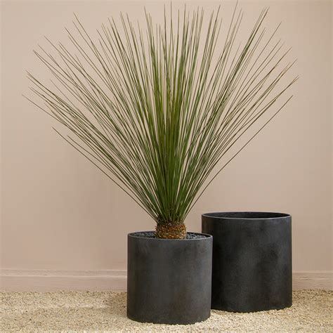 Modern Cylinder: Black Mid Century Planter | Inner Gardens