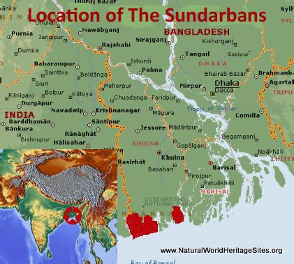 The Sundarbans | Natural World Heritage Sites