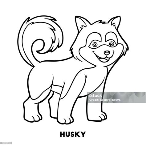 Buku Mewarnai Ras Anjing Husky Ilustrasi Stok - Unduh Gambar Sekarang ...