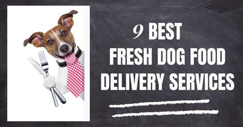 9 Best Fresh Dog Food Delivery Services: Gently & Lightly Cooked