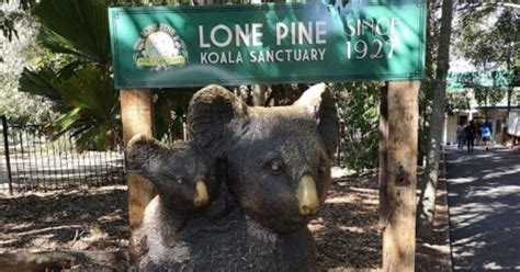 Lone Pine Koala Sanctuary to Become a Foodie Precinct - Kenmore News