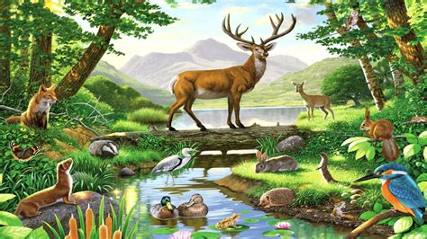 Forest Animals Drawing at GetDrawings | Free download