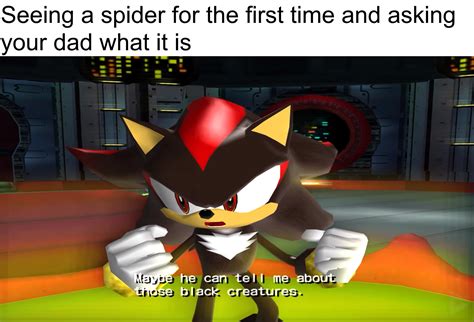 Making a meme out of one line from Shadow the Hedgehog:Day 54 [Nitro ...