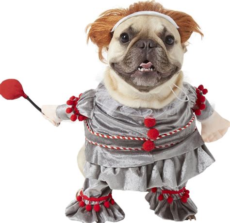 7 Scary Halloween Costumes For Dogs That Are Hilariously Adorable