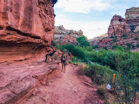 Hiking and Camping at Lower Calf Creek Falls, Utah - Karabou Adventures