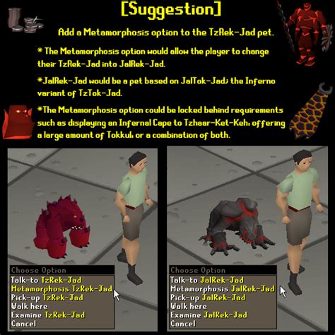 [Suggestion] Jad Pet Metamorphosis : r/2007scape