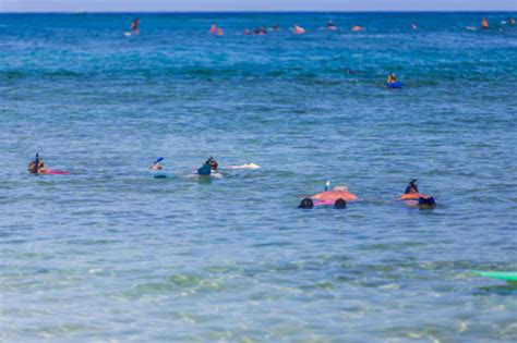 Snorkeling beaches in Poipu | Kauai snorkeling guide