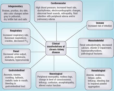 Chronic Kidney Disease | Chronic kidney disease, Chronic renal failure ...