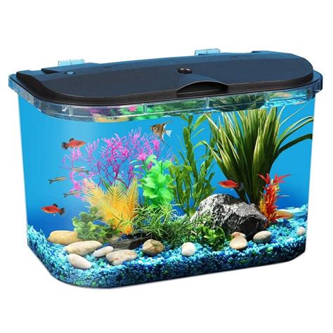 A Simple Guide For Setting Up Of A 37 Gallon Aquarium - Fishxperts