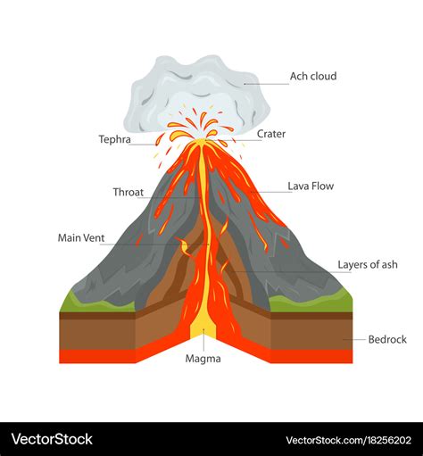 Volcano cross section view Royalty Free Vector Image