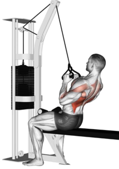 Close Grip Lat Pulldown 101 | Form, Benefits, and Variations!