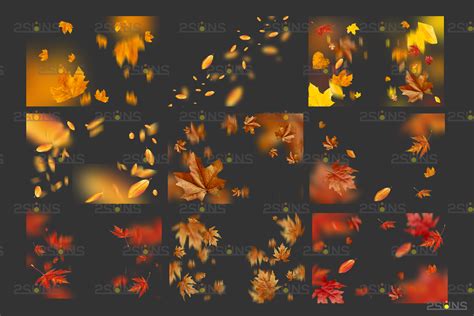 Autumn leaves overlay & Falling leaf, Photoshop overlay: Fall png over ...