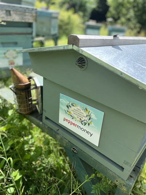 Worker Bee, Hive Sponsorship — Sunnyfields Apiaries