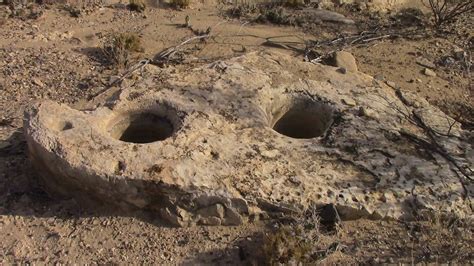 Chihuahuan Desert Expedition, Texas FOSSILS,GEOLOGY Video Stills : Free ...