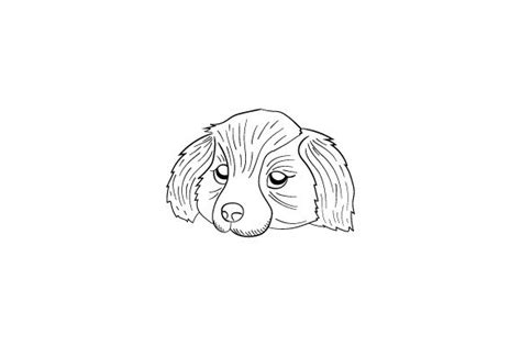 Puppy Border Collie - Face, Sketch SVG Cut file by Creative Fabrica ...