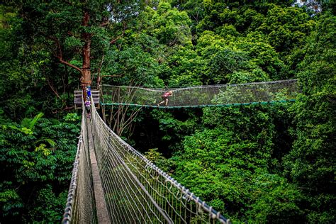 Thunderbird Park - Tamborine Mountain, Gold Coast Region - Scenic Rim