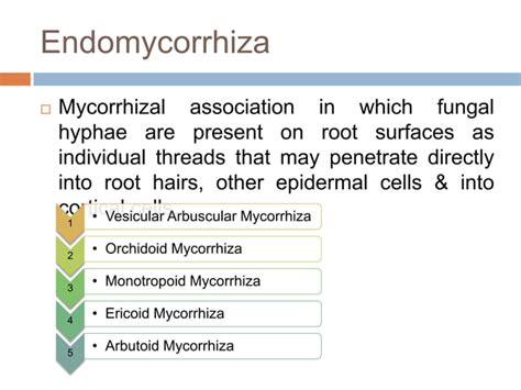 Mycorrhiza and its types | PPT