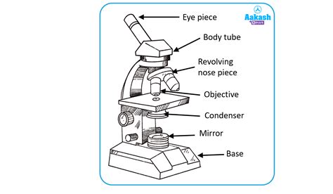 Simple Diagram Of Compound Microscope – NBKomputer