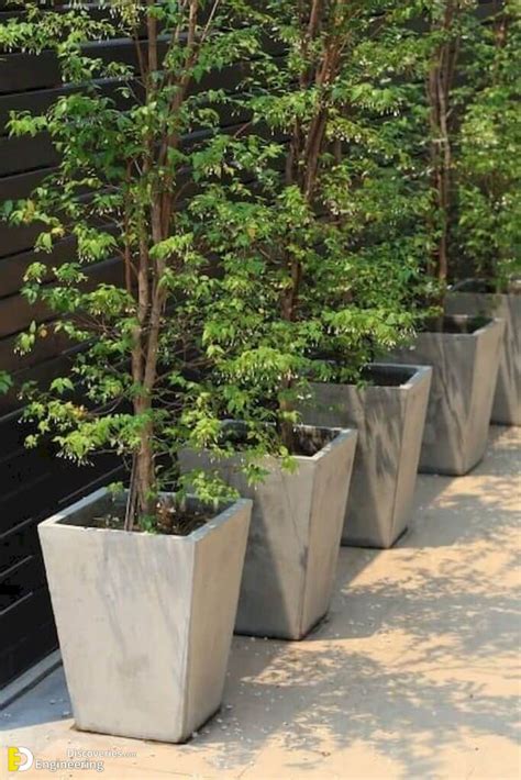 Concrete Planter Ideas That Will Add Style To Your Backyard ...