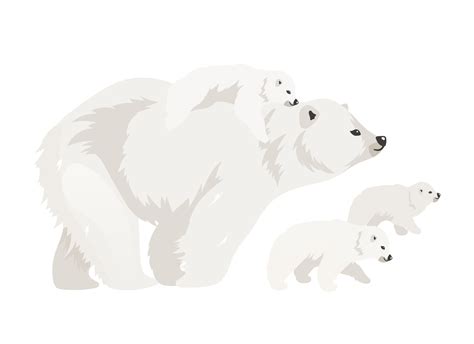 Polar bear family flat color vector illustration. Northern wild adult ...