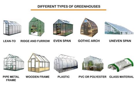 10 Different Types of Greenhouses | Structures and Designs