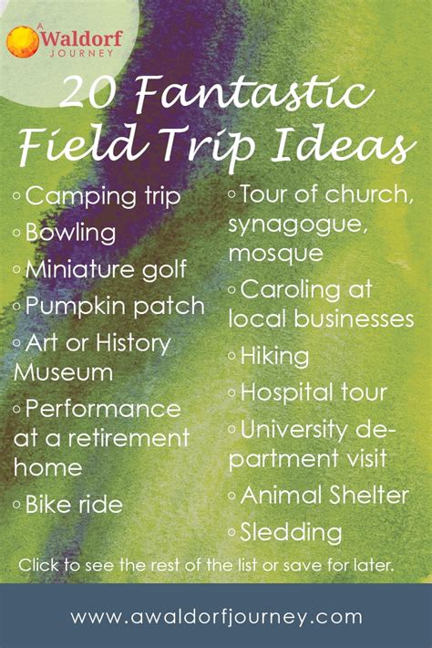 10 Most Recommended Field Trip Ideas For Elementary Students 2024