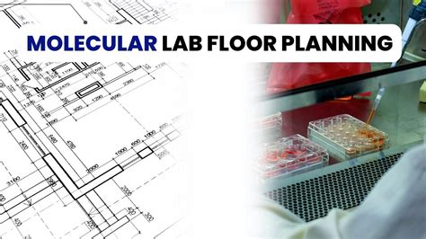 Molecular Laboratory Floor Plan & Equipment Needed