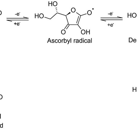 Ionization of ascorbic acid (AA) followed by the oxidation– reduction ...