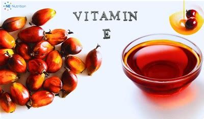 Understanding Alpha Palm Tocotrienol: Unveiling the Power of Vitamin E ...