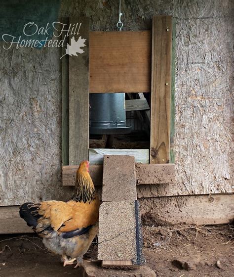 Chicken Coop Sliding Door - Oak Hill Homestead