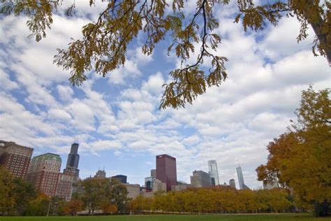 Chicago Skyline And Fall Colors by Sven Brogren