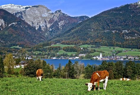 The Beautiful Lakes District Of Austria – Back Road Journal