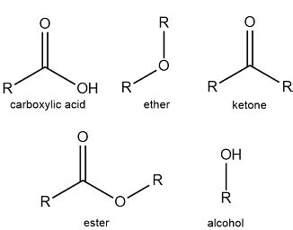 Ester Functional Group Examples